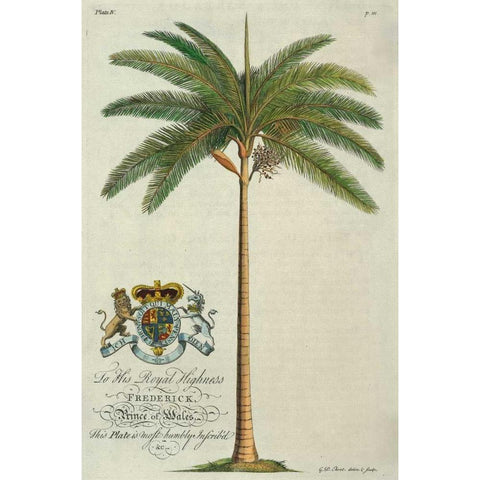 King Palm Gold Ornate Wood Framed Art Print with Double Matting by Ehret, Georg