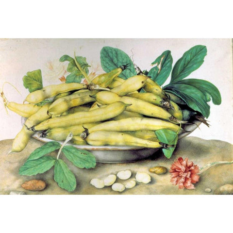 Dish of Broad Beans Gold Ornate Wood Framed Art Print with Double Matting by Garzoni, Giovanna