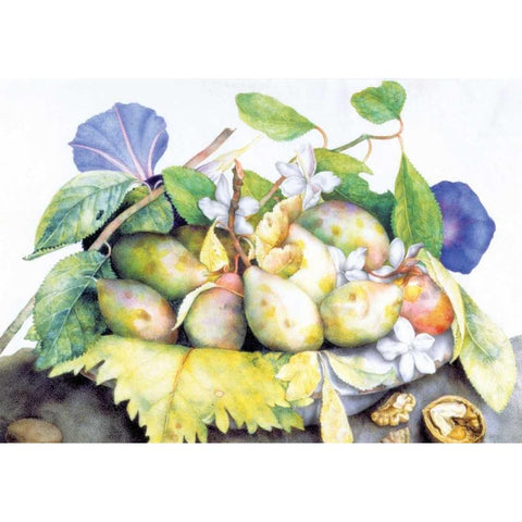 Dish of Plums, Jasmine and Walnuts Black Modern Wood Framed Art Print with Double Matting by Garzoni, Giovanna