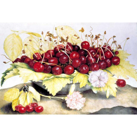 Dish of Cherries and Carnation Gold Ornate Wood Framed Art Print with Double Matting by Garzoni, Giovanna