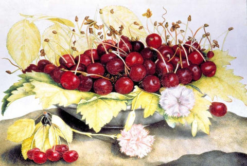 Dish of Cherries and Carnation White Modern Wood Framed Art Print with Double Matting by Garzoni, Giovanna