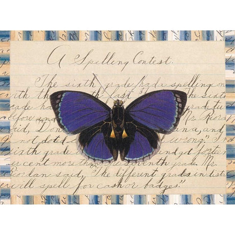 Butterfly Collage, Spelling Contest White Modern Wood Framed Art Print by Gould-Porter, William