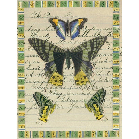 Butterfly Collage, Peace Pipe White Modern Wood Framed Art Print by Gould-Porter, William