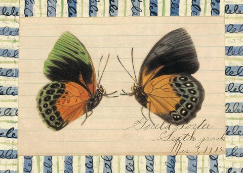 Butterfly Collage, Sixth Grade White Modern Wood Framed Art Print with Double Matting by Gould-Porter, William