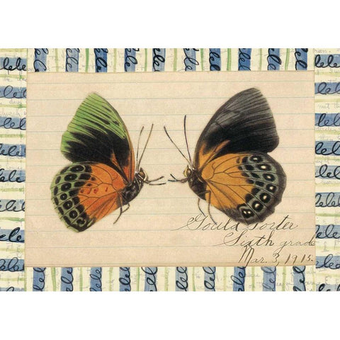 Butterfly Collage, Sixth Grade Gold Ornate Wood Framed Art Print with Double Matting by Gould-Porter, William