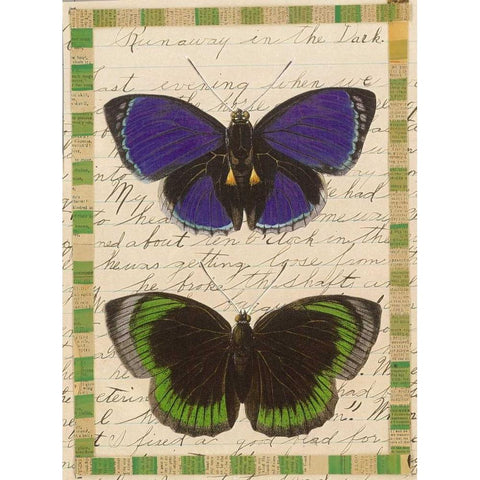 Butterfly Collage, Runaway Black Modern Wood Framed Art Print with Double Matting by Gould-Porter, William