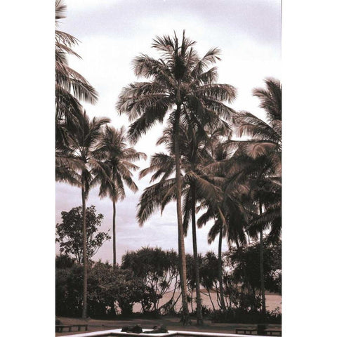 Coconut Grove, Candidasa Gold Ornate Wood Framed Art Print with Double Matting by Blue, Cyril