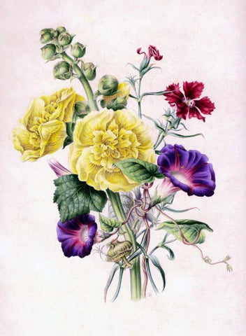 Hollyhocks White Modern Wood Framed Art Print with Double Matting by Andrews, James