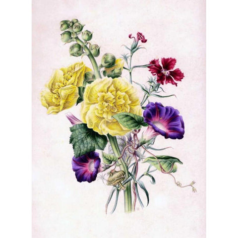 Hollyhocks Gold Ornate Wood Framed Art Print with Double Matting by Andrews, James