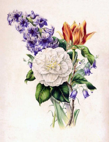 Hyacinth White Modern Wood Framed Art Print with Double Matting by Andrews, James