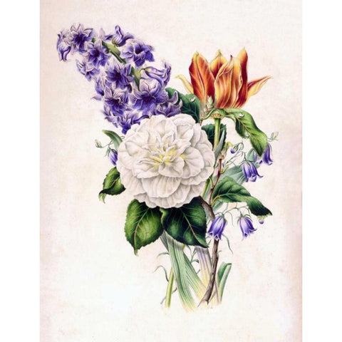 Hyacinth Black Modern Wood Framed Art Print with Double Matting by Andrews, James