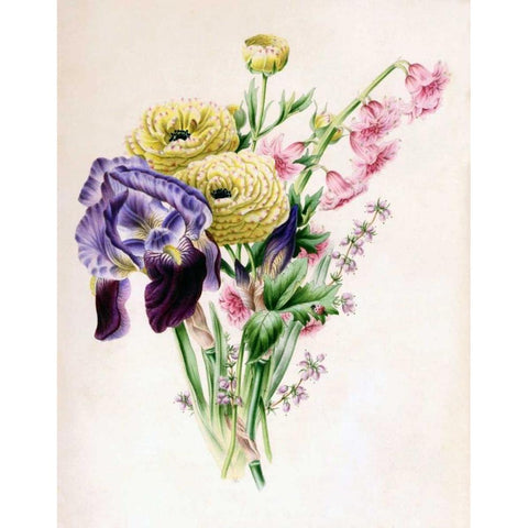 Iris Gold Ornate Wood Framed Art Print with Double Matting by Andrews, James