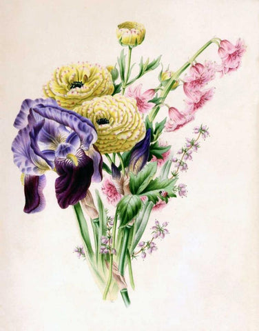 Iris White Modern Wood Framed Art Print with Double Matting by Andrews, James