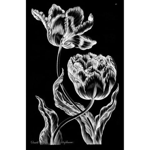 Double Oriflamme Gold Ornate Wood Framed Art Print with Double Matting by Hill, John