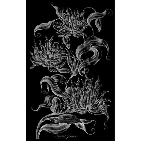 Imperial Gloriosa  Gold Ornate Wood Framed Art Print with Double Matting by Hill, John