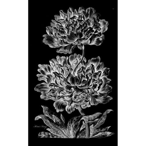 Heroic Peony Gold Ornate Wood Framed Art Print with Double Matting by Hill, John