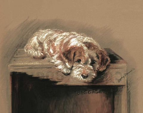 Terrier, Baggage Black Ornate Wood Framed Art Print with Double Matting by Dawson, Lucy