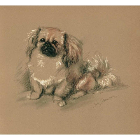 Pekinese, Koko Black Modern Wood Framed Art Print with Double Matting by Dawson, Lucy