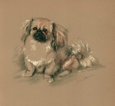 Pekinese, Koko Black Ornate Wood Framed Art Print with Double Matting by Dawson, Lucy