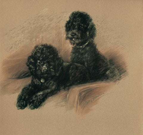 Poodles Black Ornate Wood Framed Art Print with Double Matting by Dawson, Lucy