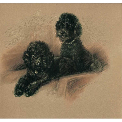 Poodles Black Modern Wood Framed Art Print with Double Matting by Dawson, Lucy