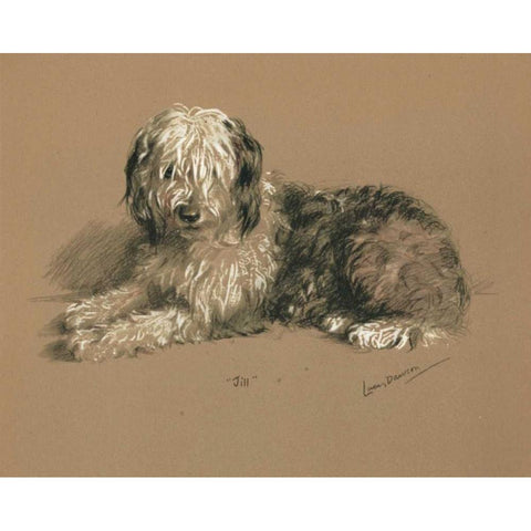 Sheepdog, Jill White Modern Wood Framed Art Print by Dawson, Lucy