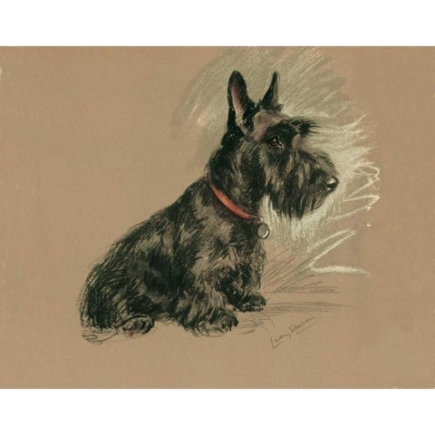 Scottish Terrier, Nanette White Modern Wood Framed Art Print by Dawson, Lucy