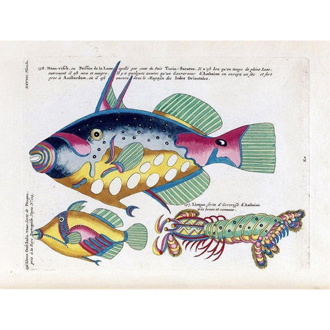 Poisson de la Lune Black Modern Wood Framed Art Print with Double Matting by Renard, Louis