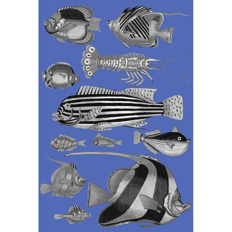 Tropical Fish Collage 1-Blue Blackground Gold Ornate Wood Framed Art Print with Double Matting by Renard, Louis