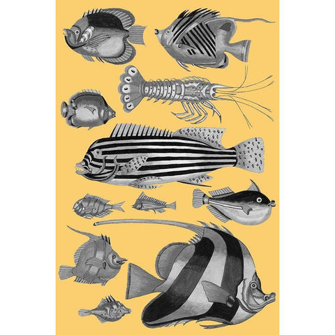 Tropical Fish Collage 1-Yellow Background Black Modern Wood Framed Art Print with Double Matting by Renard, Louis