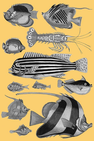 Tropical Fish Collage 1-Yellow Background Black Ornate Wood Framed Art Print with Double Matting by Renard, Louis