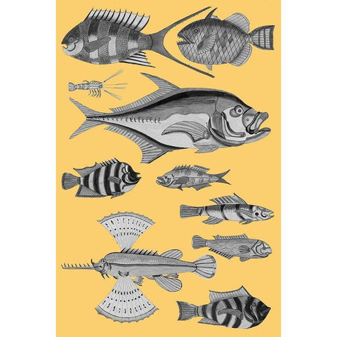 Tropical Fish Collage 2-Yellow Background Black Modern Wood Framed Art Print with Double Matting by Renard, Louis