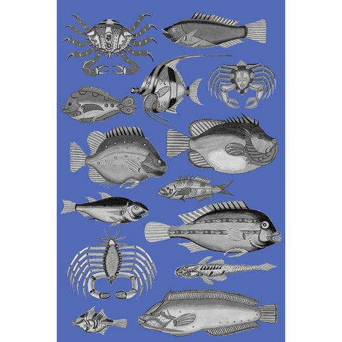 Tropical Fish Collage 3-Blue Background Gold Ornate Wood Framed Art Print with Double Matting by Renard, Louis