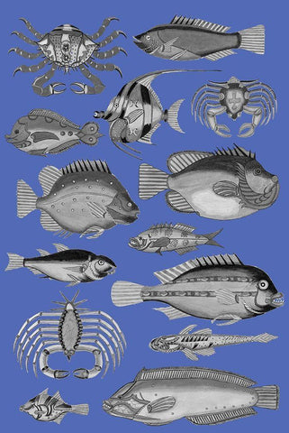 Tropical Fish Collage 3-Blue Background Black Ornate Wood Framed Art Print with Double Matting by Renard, Louis