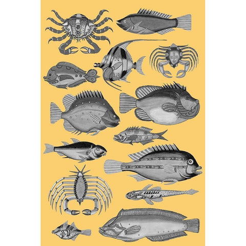 Tropical Fish Collage 3-Yellow Background Black Modern Wood Framed Art Print with Double Matting by Renard, Louis