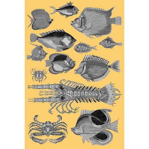 Tropical Fish Collage 4-Yellow Background White Modern Wood Framed Art Print by Renard, Louis