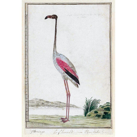 Flamingo Gold Ornate Wood Framed Art Print with Double Matting by Gordon, Robert James