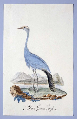 Blue Bird Black Ornate Wood Framed Art Print with Double Matting by Gordon, Robert J.