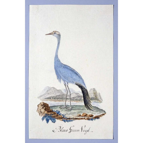 Blue Bird Gold Ornate Wood Framed Art Print with Double Matting by Gordon, Robert J.