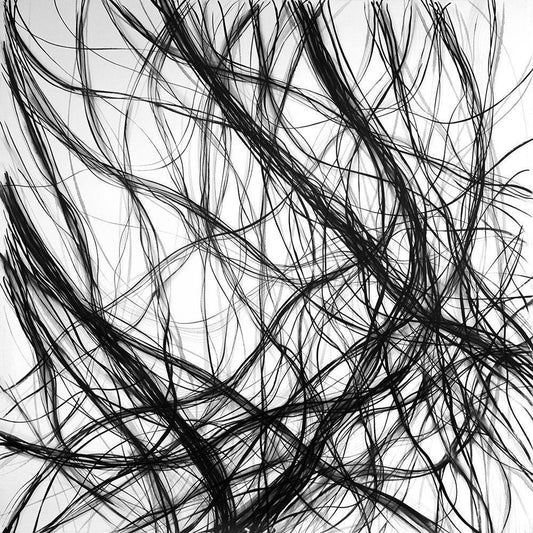 Image Only