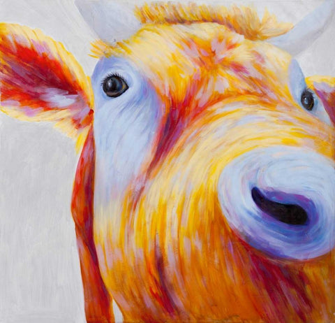 Curious Colorful Cow  White Modern Wood Framed Art Print with Double Matting by Atelier B Art Studio