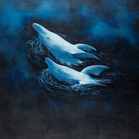 TWO SWIMMING DOLPHINS White Modern Wood Framed Art Print with Double Matting by Atelier B Art Studio