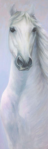 POWERFUL WHITE HORSE White Modern Wood Framed Art Print with Double Matting by Atelier B Art Studio