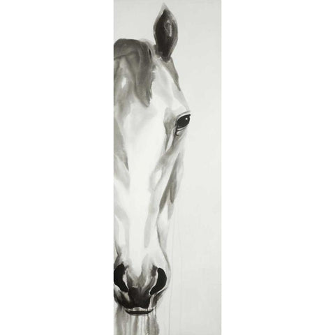 Black and White Horse Face White Modern Wood Framed Art Print by Atelier B Art Studio