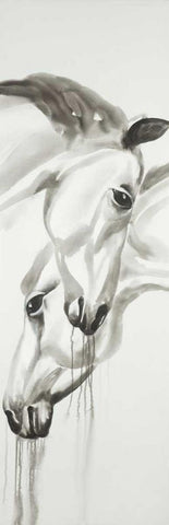 Black and White Horses White Modern Wood Framed Art Print with Double Matting by Atelier B Art Studio