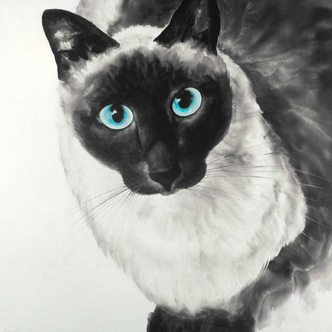 Blue Eyes Siamese Cat Black Ornate Wood Framed Art Print with Double Matting by Atelier B Art Studio