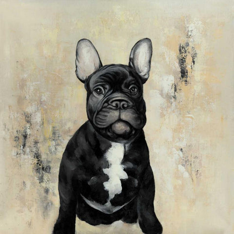 French Bulldogs Black Modern Wood Framed Art Print with Double Matting by Atelier B Art Studio