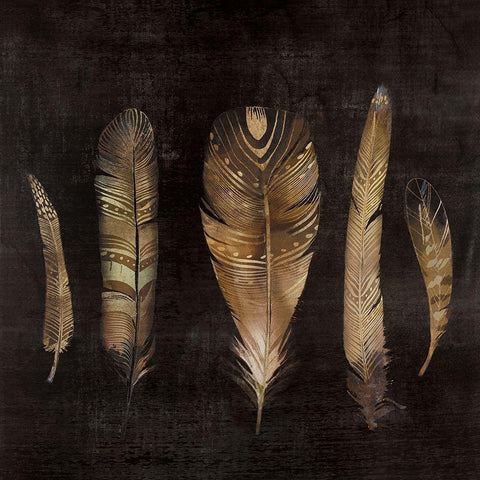 BROWN FEATHER SET White Modern Wood Framed Art Print with Double Matting by Atelier B Art Studio