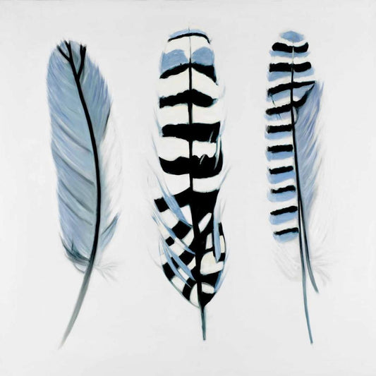 Image Only