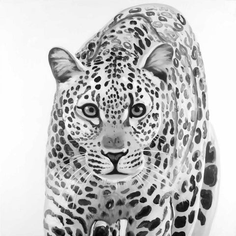 Leopard Ready to Attack Black Modern Wood Framed Art Print with Double Matting by Atelier B Art Studio